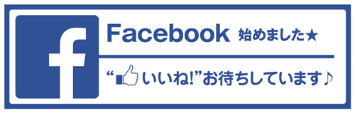 facebook_smg_web.jpg10