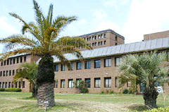 the International Exchange and Language Education Center facilities0