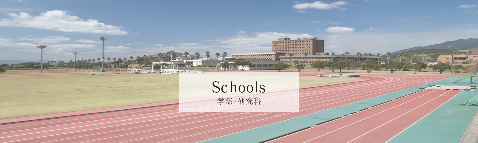 鹿屋体育大学 体育学部 鹿屋体育大学