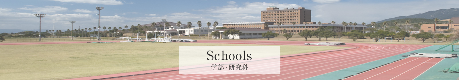 学部・研究科