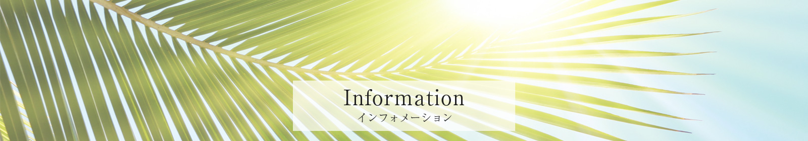 鹿屋体育大学 入試情報 鹿屋体育大学