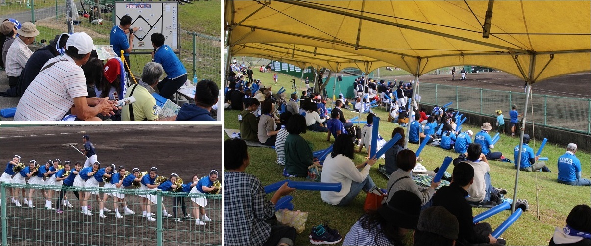 10月14日カレッジスポーツデイ（野球）の様子