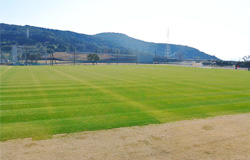 鹿屋体育大学32366