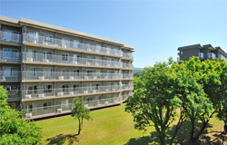 鹿屋体育大学32405